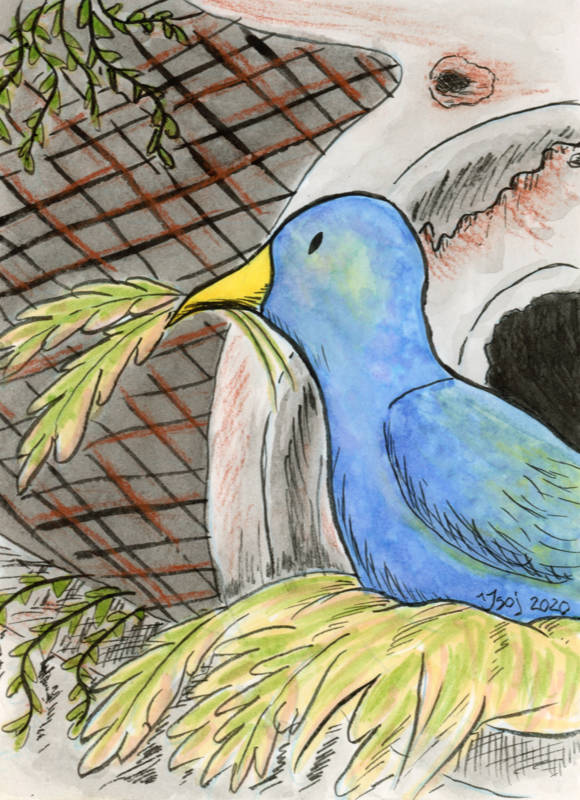 Bird in its nest, 2020