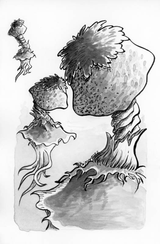 Mushrooms, 2022